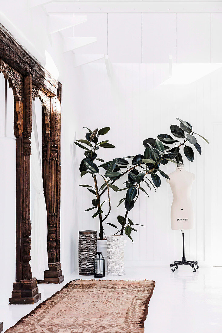 Houseplants next to mannequin in white room