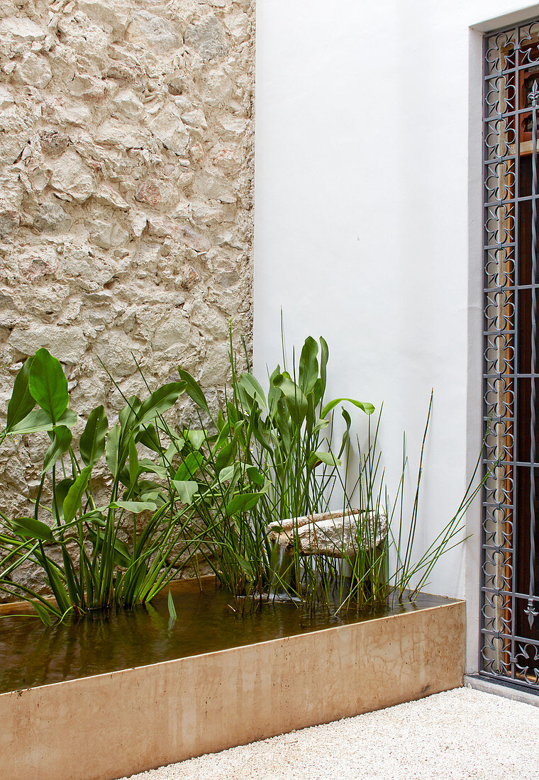 Plants in rectangular pond against stone wall and house wall