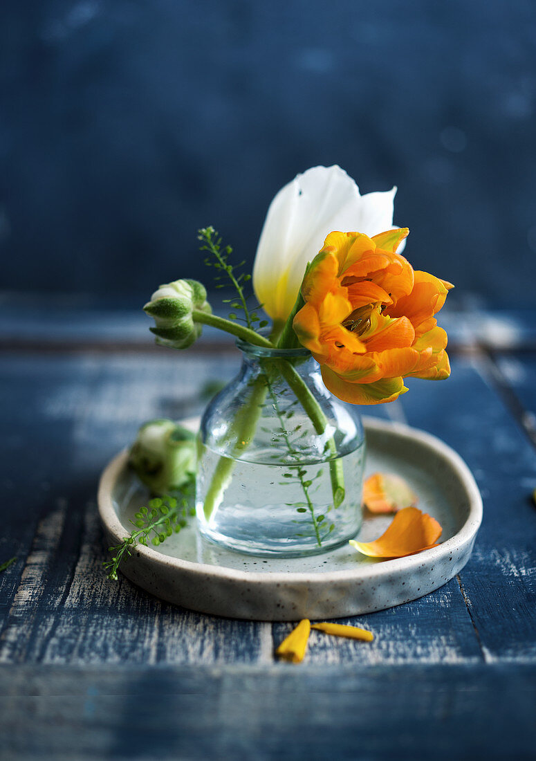 Ranunkel und Tulpe in einer Vase