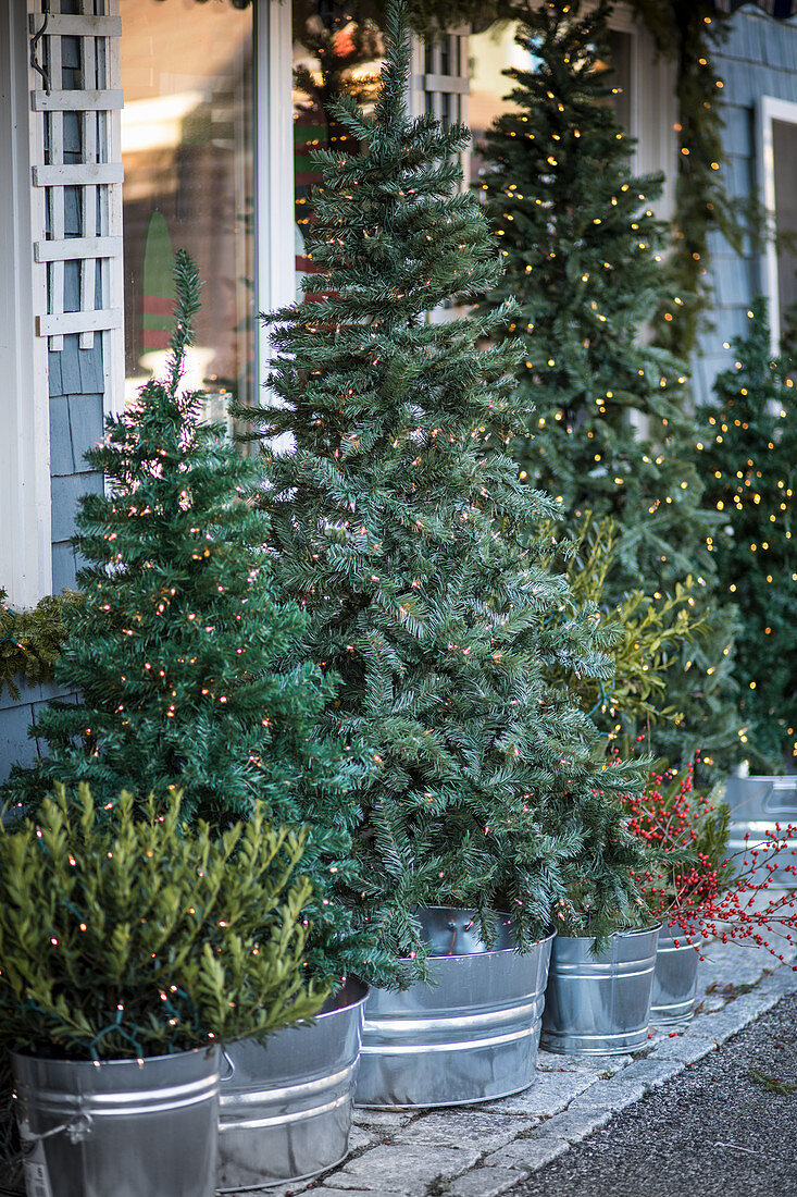 Weihnachtsbäume mit Lichterketten in Metallgefäßen