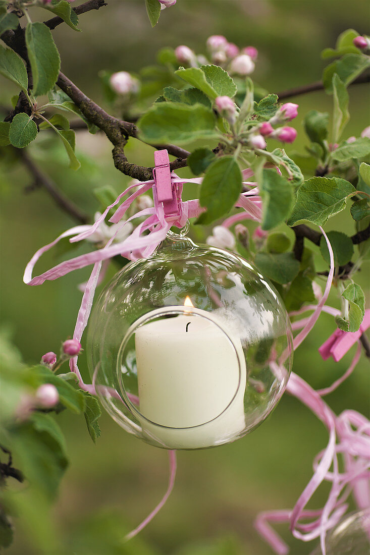 Candle in glass sphere hung from flowering cherry tree