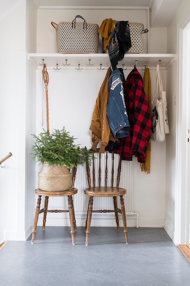 Coat rack, old chairs and small fir tree in basket in hallway