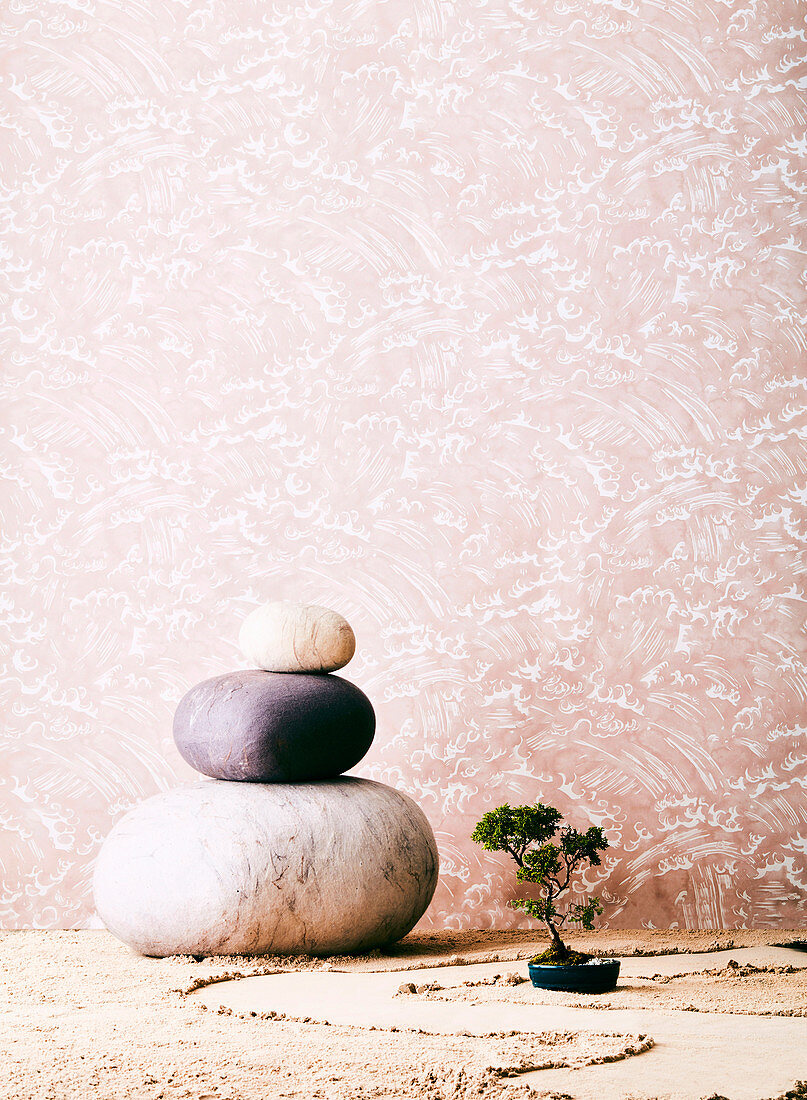 Drei große Steine und Bonsai vor tapezierter Wand
