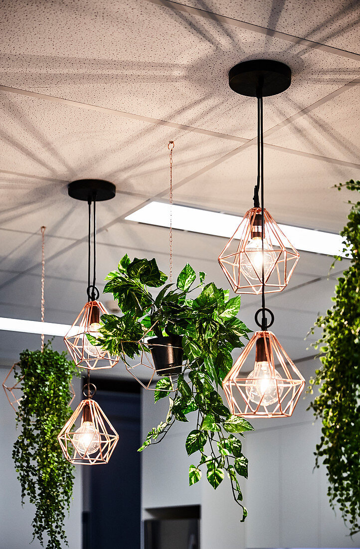 Pendant lamps and plants in hanging baskets in work lounge