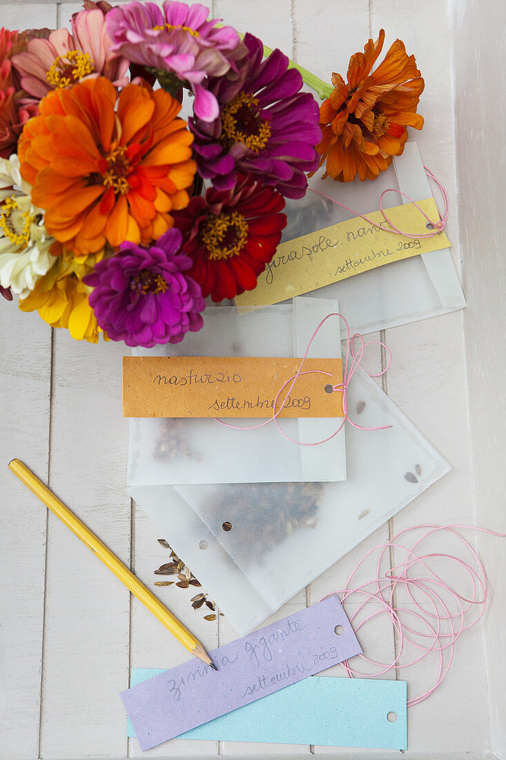 Zinnias and labelled packets of flower seeds
