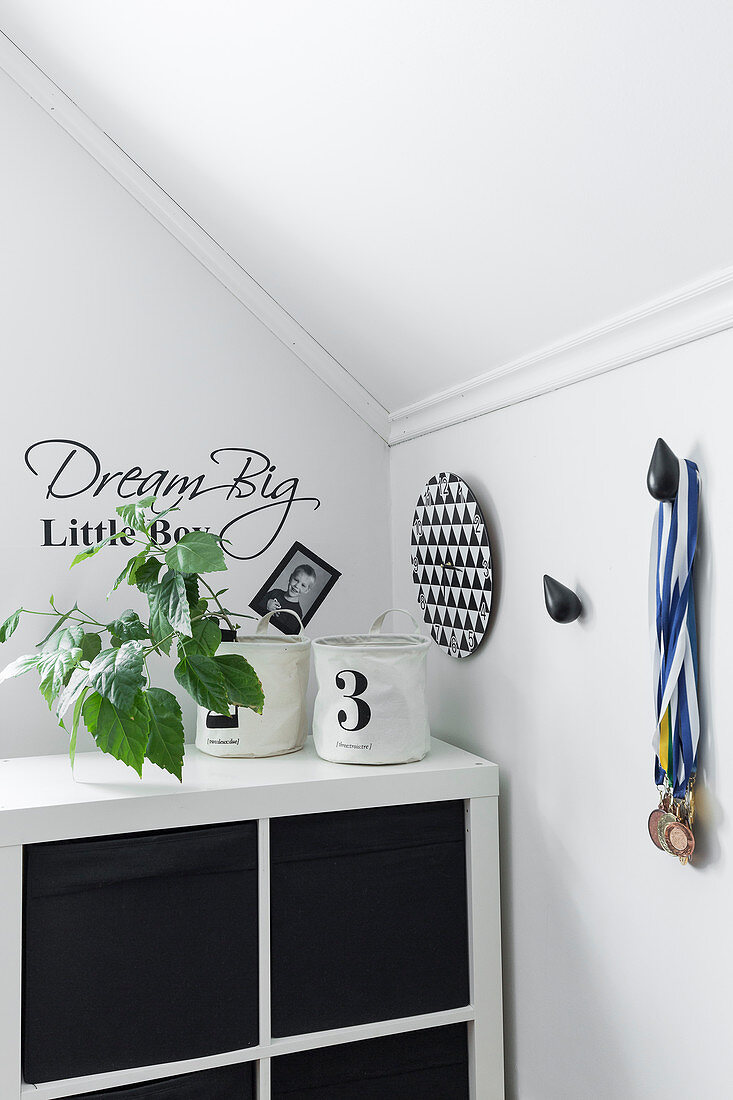 Houseplant on top of black-and-white shelving and medallions hung on wall
