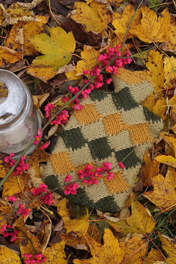 Hot-water bottle with hand-knitted cover amongst autumn leaves
