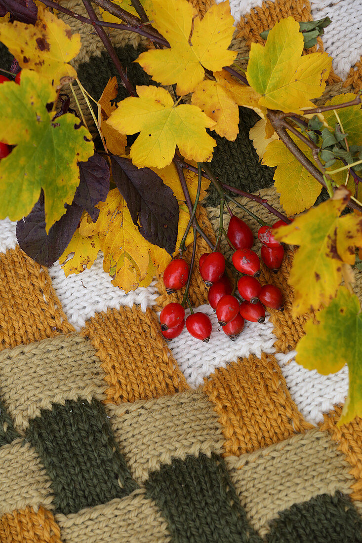 Rose hips on knitted fabric in autumnal shades