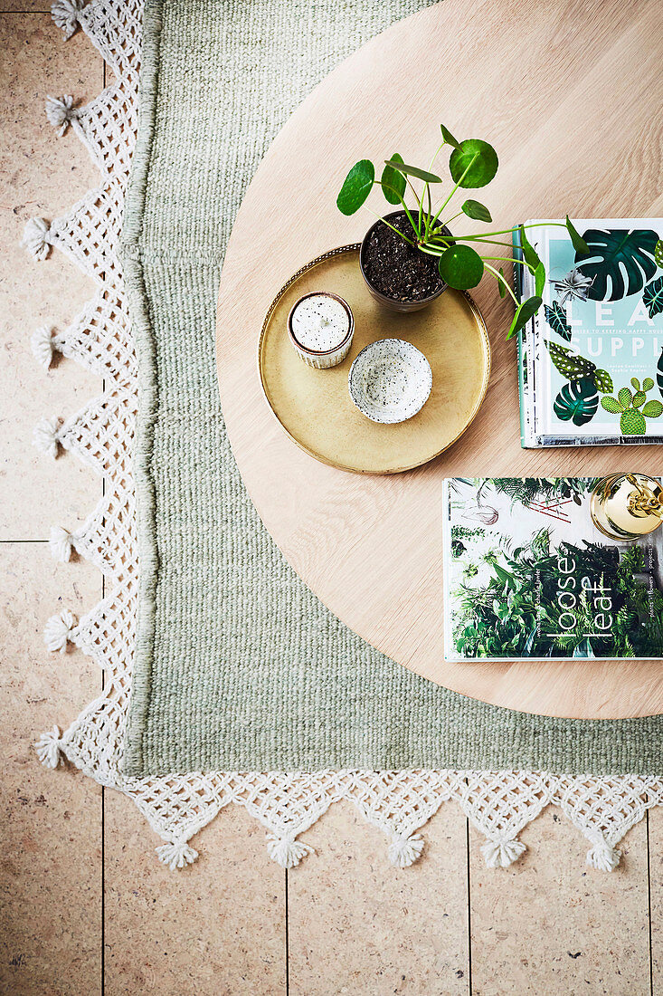 Pilea and books on a round wooden coffee table