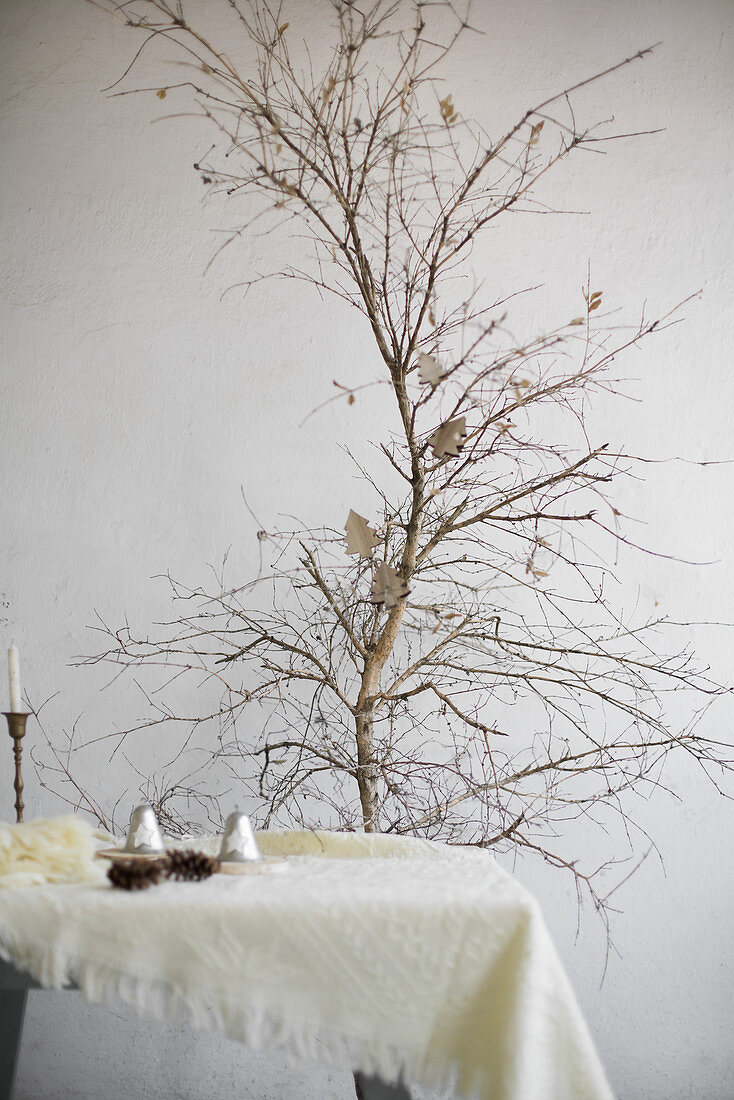 Woollen blankets and wintry accessories on table in front of small leafless tree
