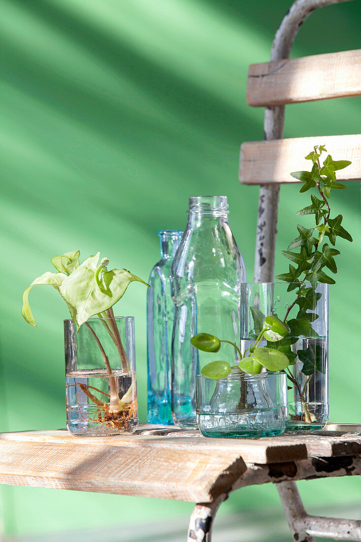 Flaschen und abgeschnittene Flaschenböden als Vasen