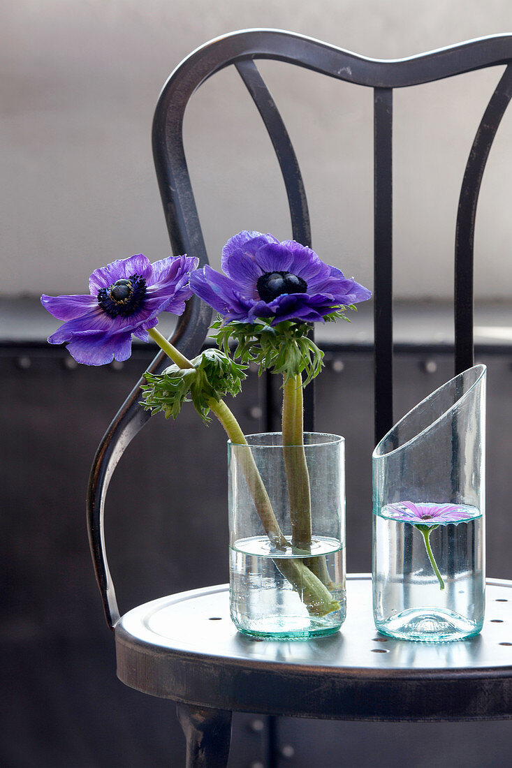 Blaue Anemonen in abgeschnittenen Flaschen als Vasen