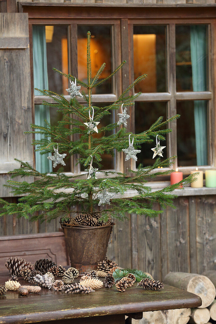 Weihnachtsbaum im Metalleimer mit selbstgemachter Deko