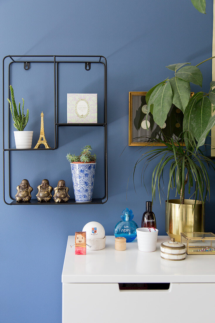 Metallregal mit Dekoobjekten und Zimmerpflanze vor blauer Wand