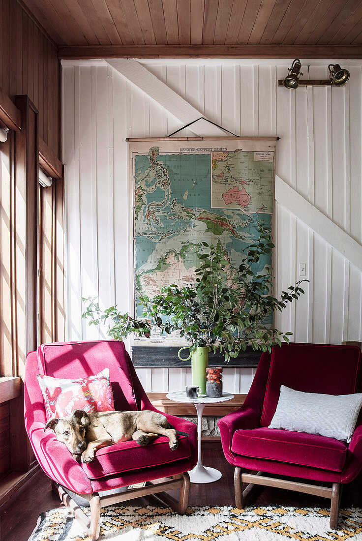 Pink bezogene Sessel mit Hund und Beistelltisch vor Fenster