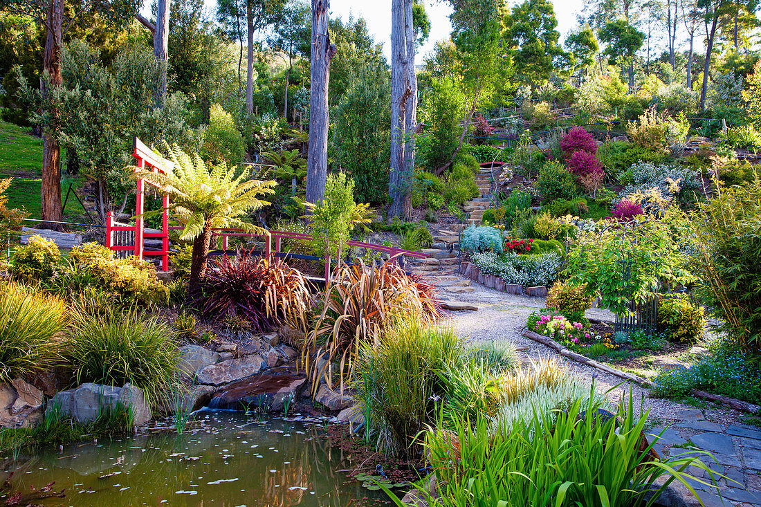 Gartenanlage in Hanglage mit Teich und Brücke im japanischen Stil (Tasmanien, Australien)