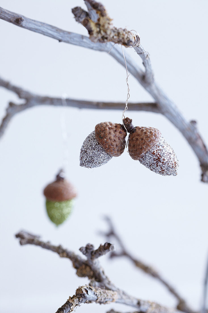Acorns covered with glitter and hung from branch as wintry decorations