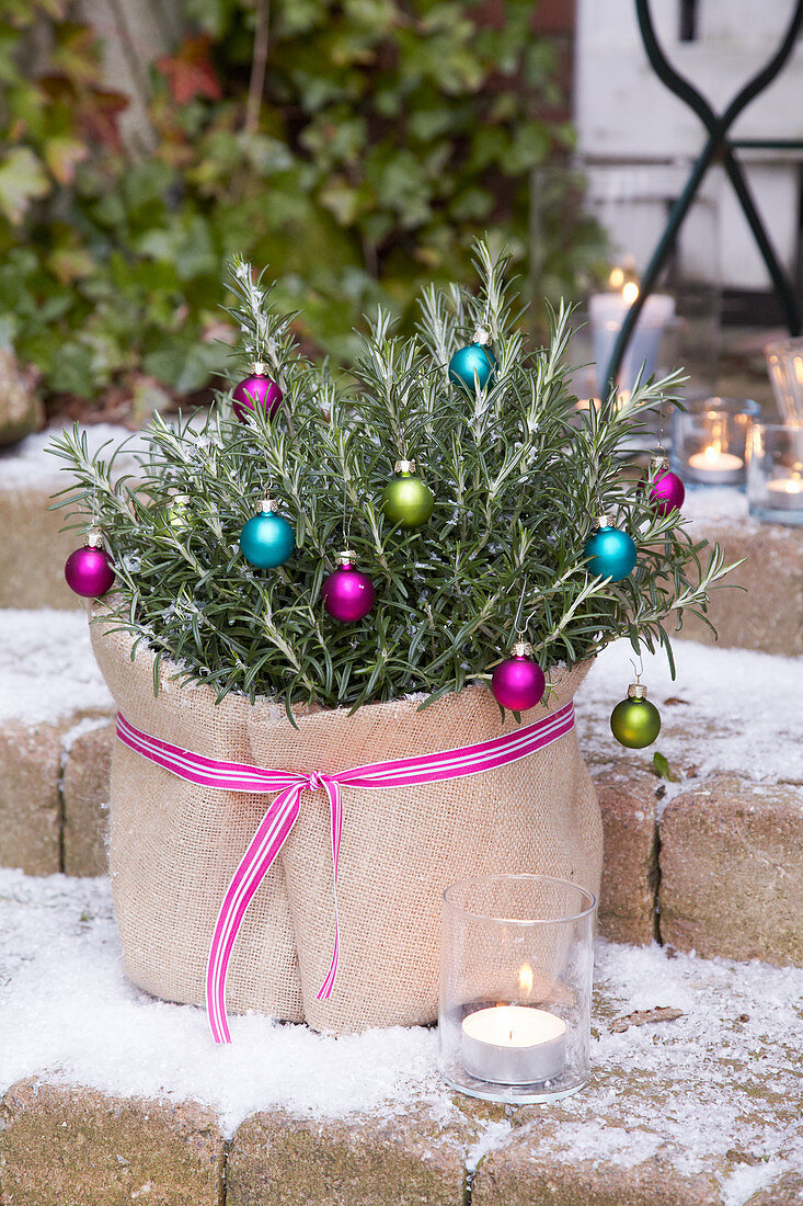 Potted rosemary decorated with small baubles and wrapped in hessian sack