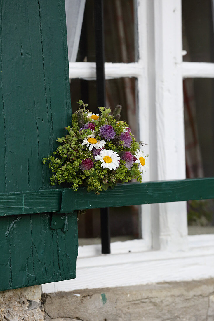 Posy of lady's mantle, red clover and ox-eye daisies on window shutter