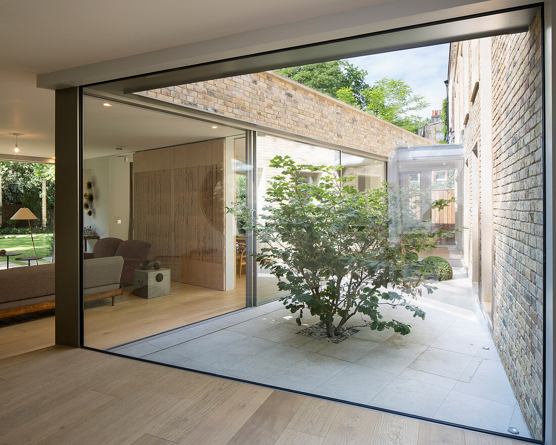Blick durch Glasfront auf Innenhof mit Baum