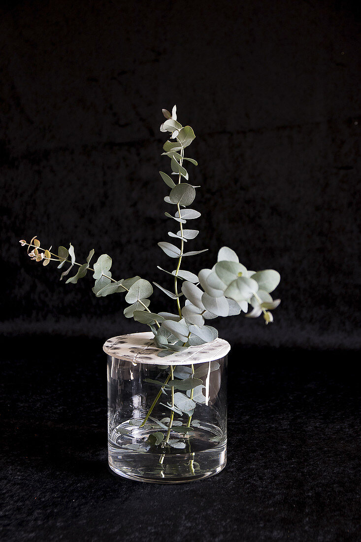 Eukalyptuszweige in einer Vase mit Aufsatz aus Modelliermasse