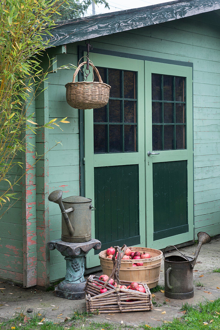 Körbe mit Granatäpfeln und Gießkannen vorm Gartenhaus