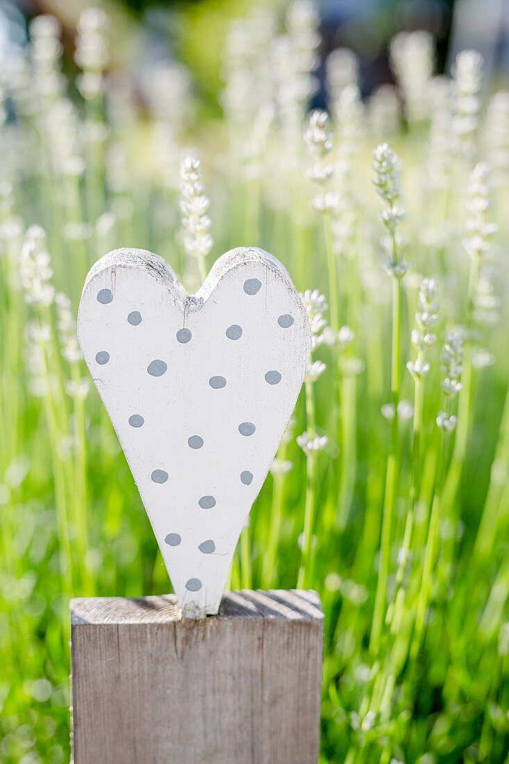 Wooden Heart As Decoration In The Garden