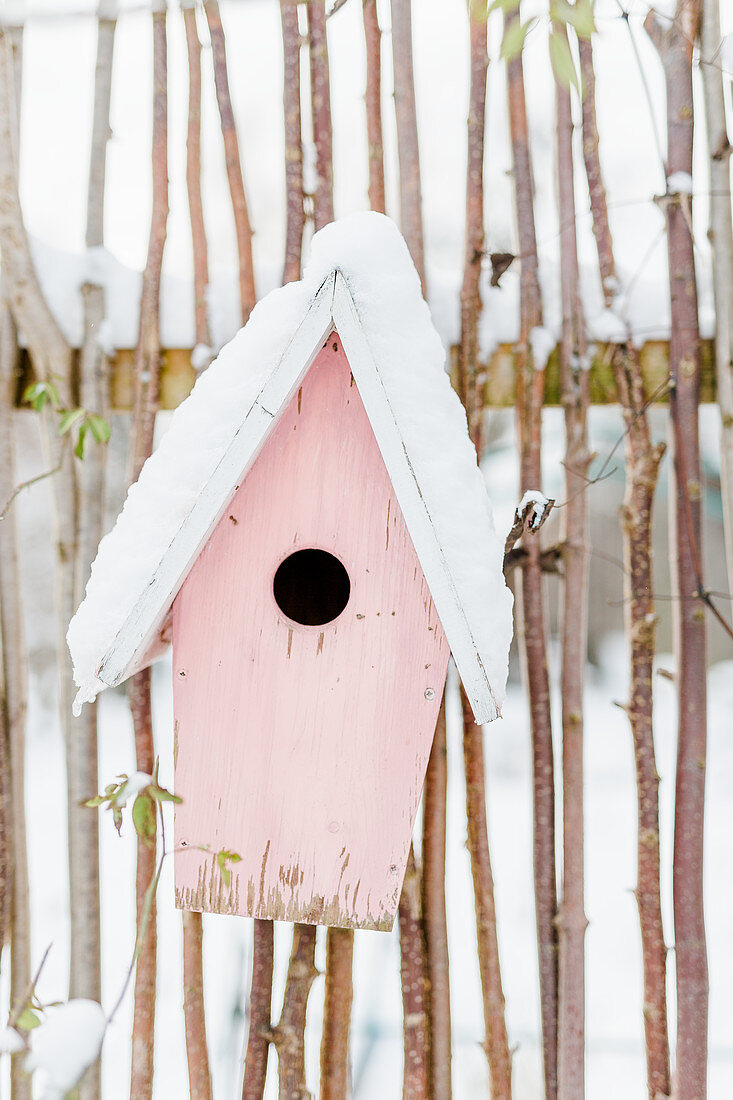 Vogelhaus - Nistkasten im Schnee