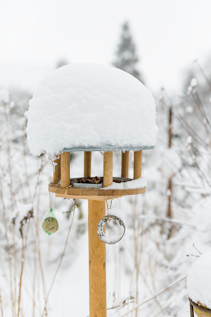 Feed House - Bird Food With Snow Cap