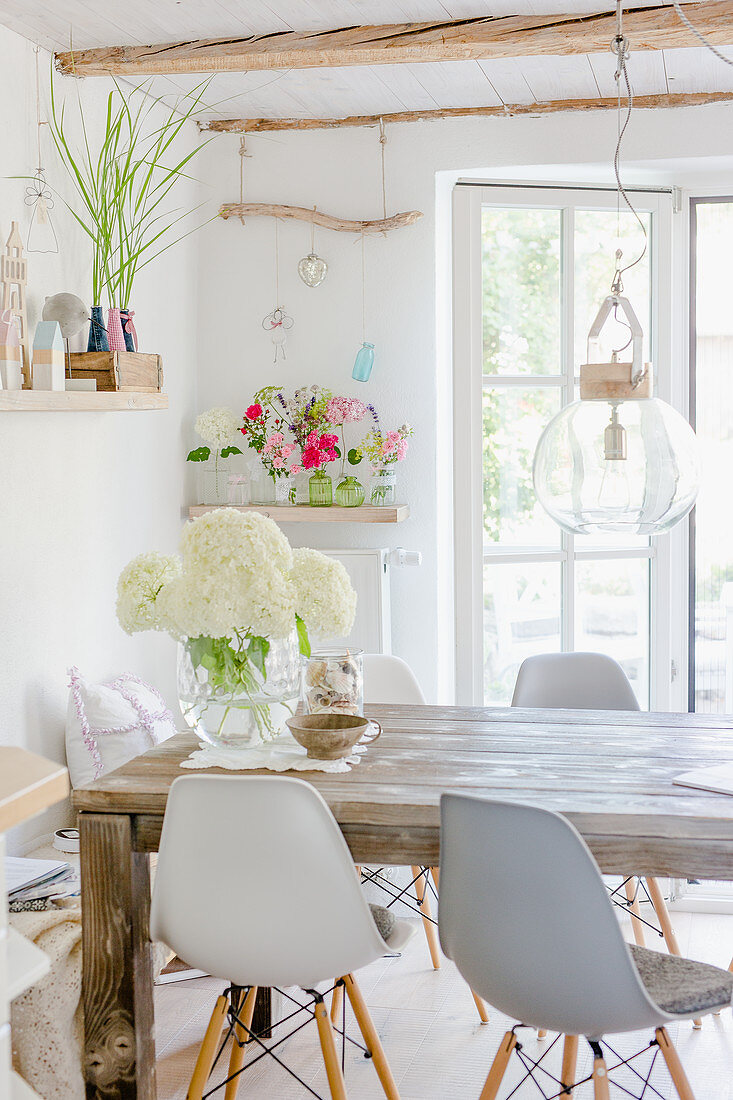White hydrangeas on rustic wooden table and classic chairs below glass pendant lamp in dining room