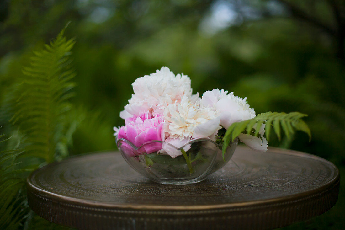 Peonies in glass bowl on table in enchanting garden