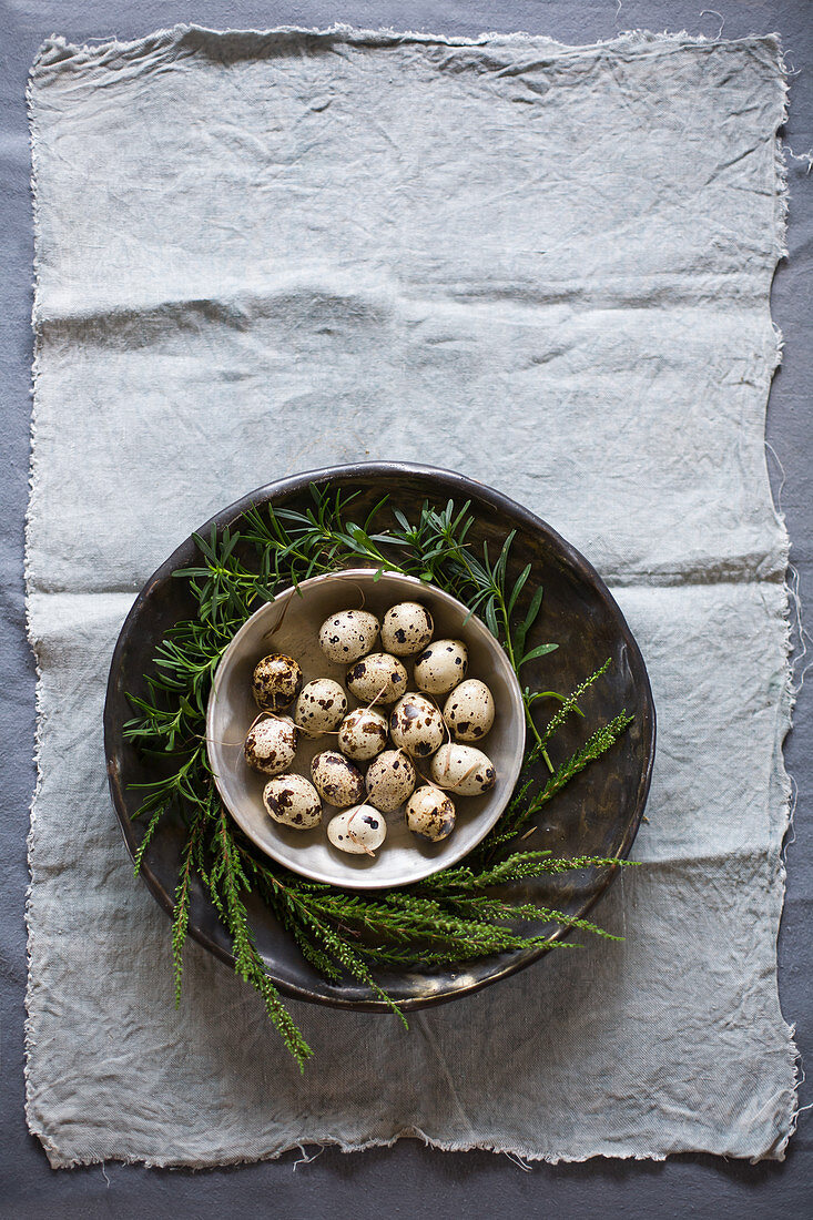 Quail eggs in dish and grasses on rough fabric