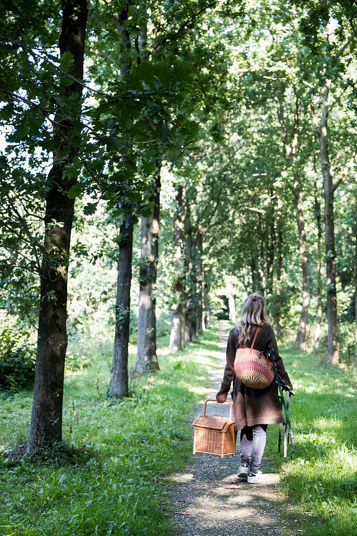 Frauen trägt Picknickkorb auf Weg durch Baumallee