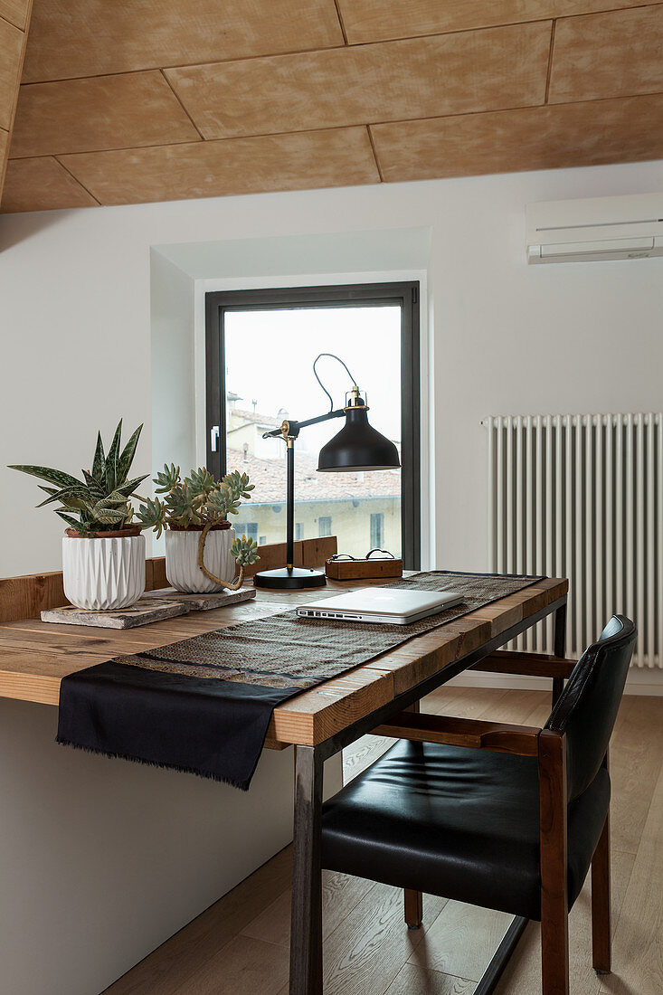 Houseplants on rustic desk and leather chair