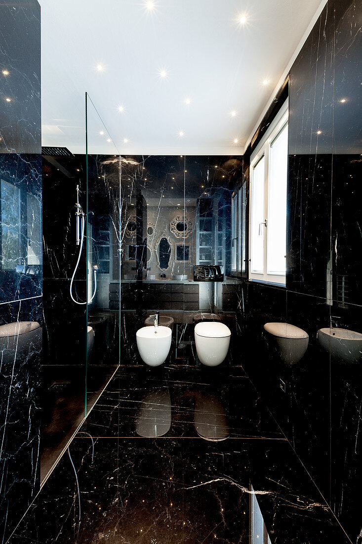 Modern bathroom with glossy black marble cladding