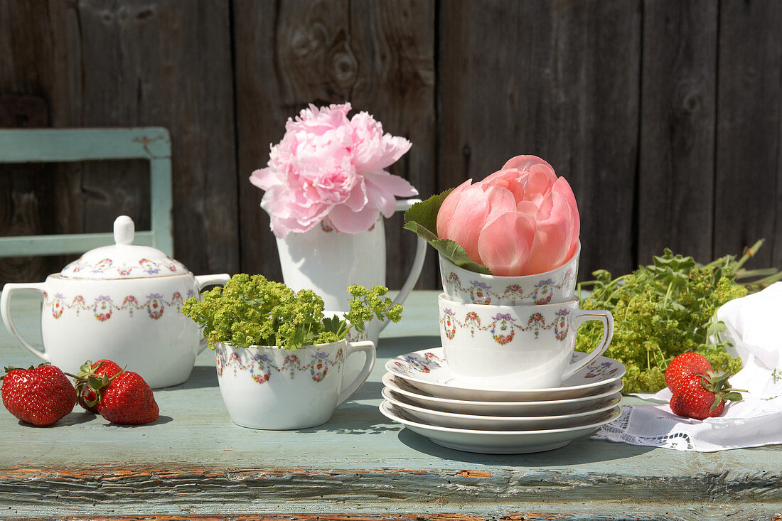 Peonies and ladies' mantel in coffee cups