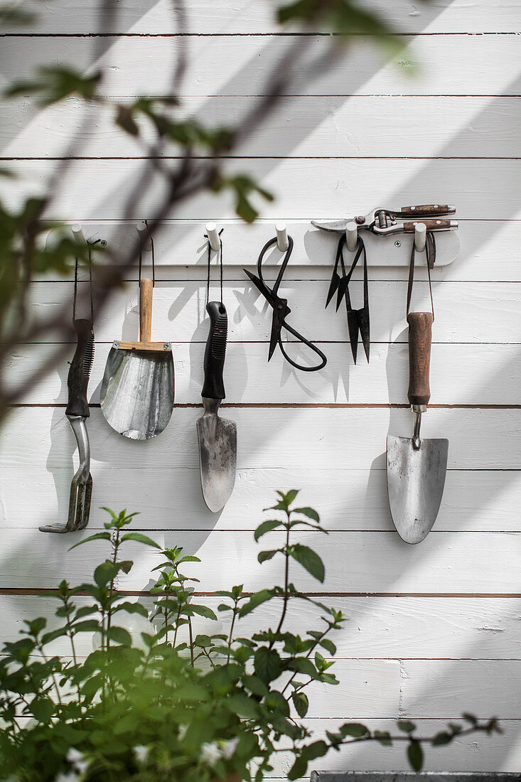 Gardening utensils on rack on white board wall