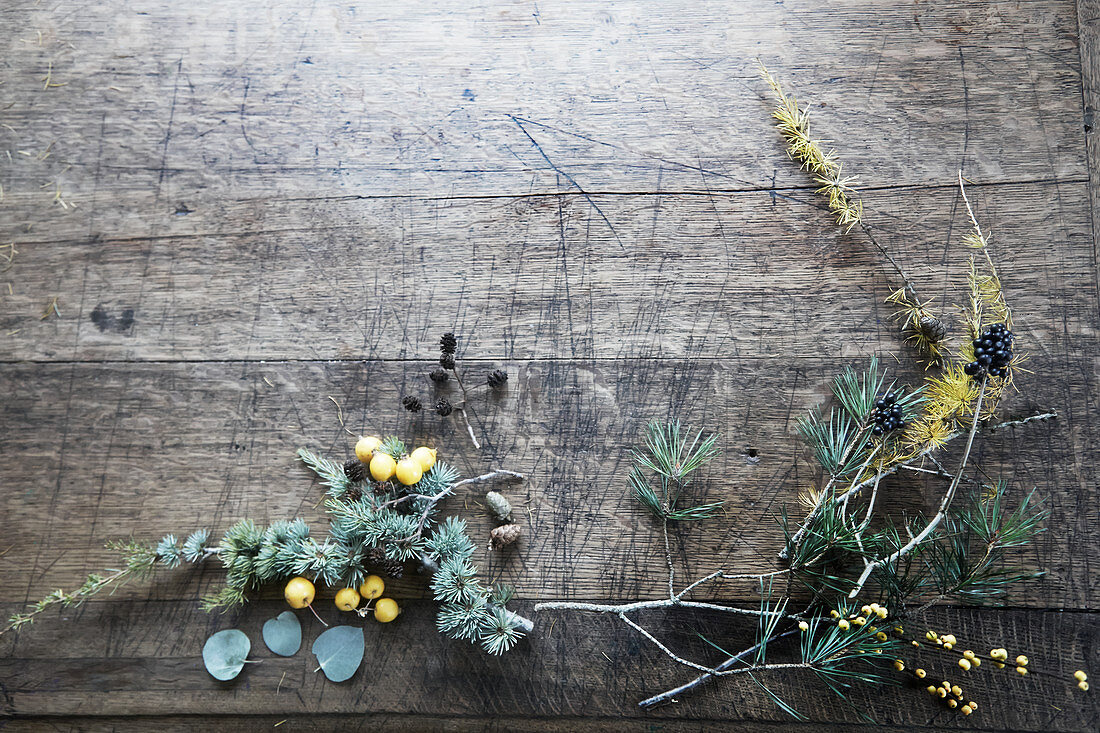 Various conifer twigs and natural materials on wooden table