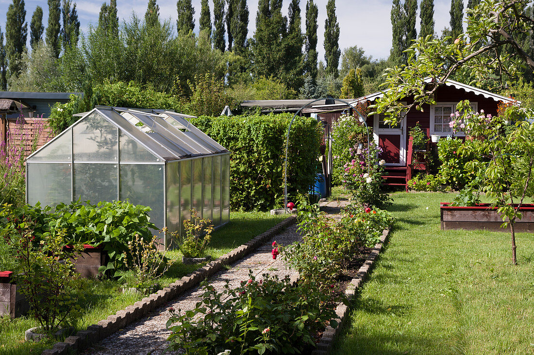 Allotments With Greenhouse And Garden Shed