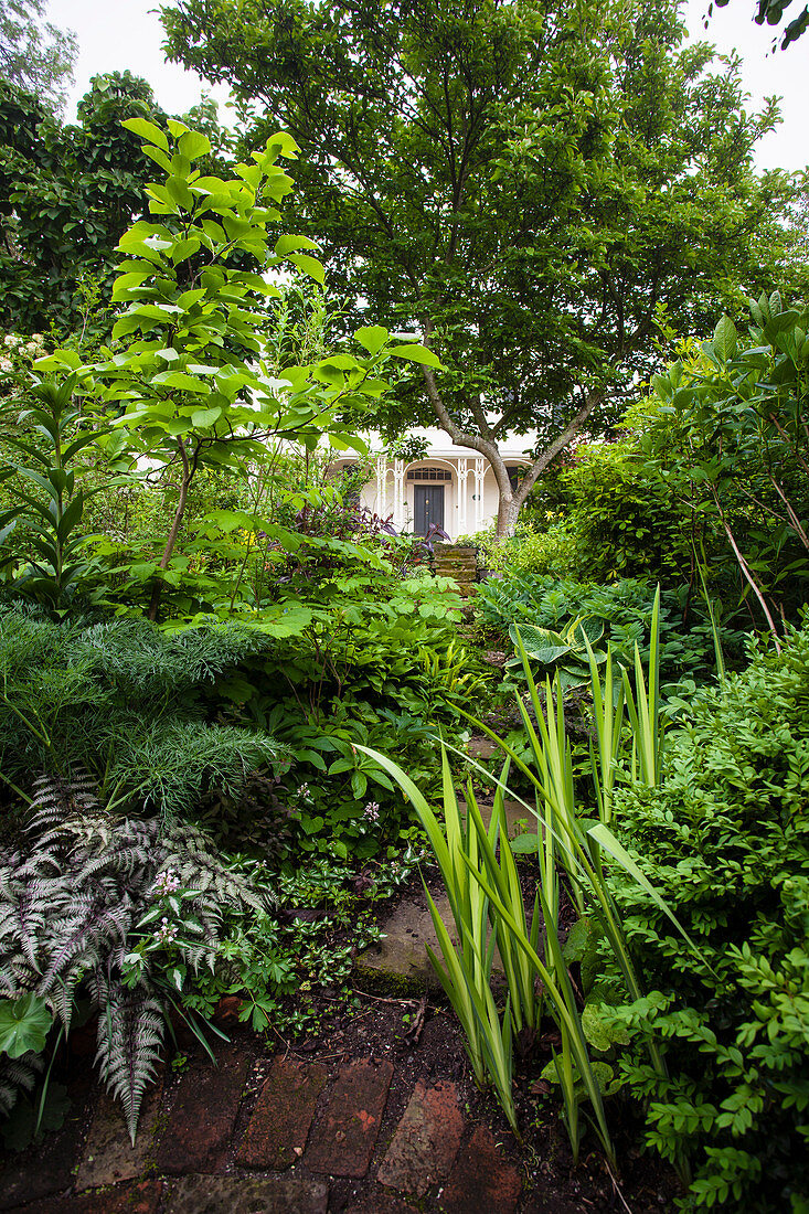 View of a house with a veranda through the lush green of the garden