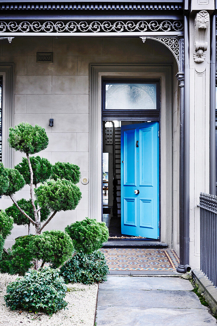Thuja mit Formschnitt im Vorgarten zum Haus mit offener blauen Tür