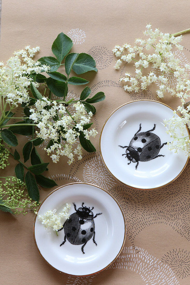 Stillleben mit Holunderblüten und Teller mit Käfermotiv auf Papier
