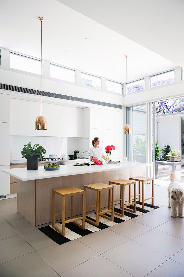Woman and dog in modern open kitchen with high ceiling