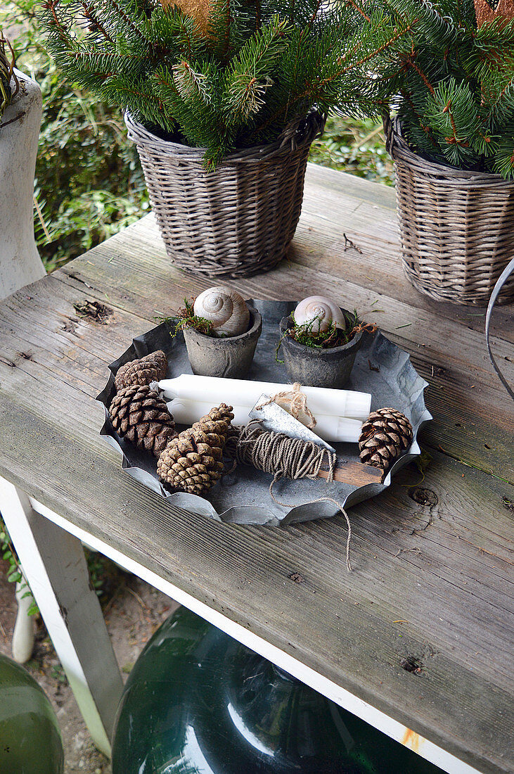 Cones, Candles, String And Pots With Snail Shells In Baking Dish