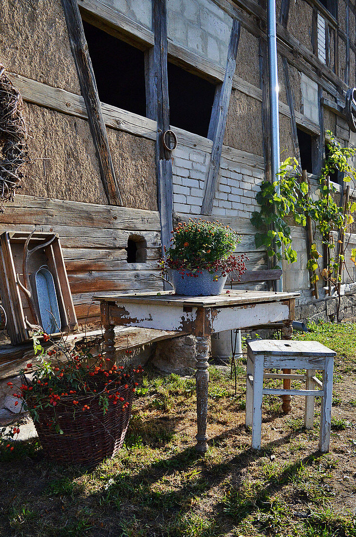 Alter Holztisch und Hocker als Sitzplatz im Garten, Chrysantheme in Schüssel auf dem Tisch