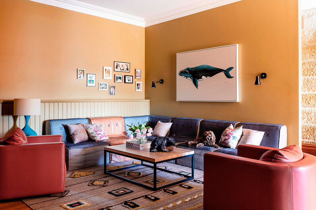 Red leather armchairs and blue sofa in the living room with yellow walls