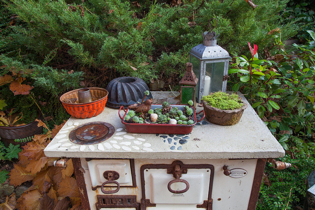 Vintage Reine mit Sukkulenten und Vogelfigur, Backformen und Laterne auf altem Küchenofen als Dekoration im Garten