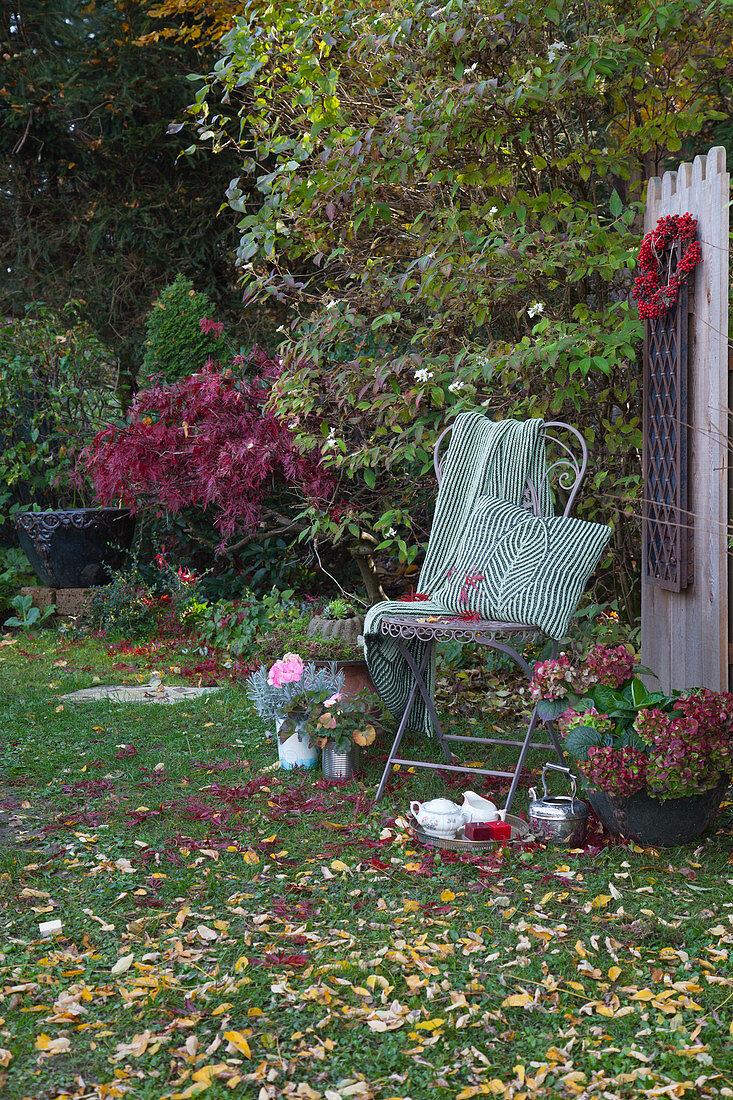 Stuhl mit Kissen und Decke, Hortensie, Silberkanne und Tablett in herbstlichem Garten