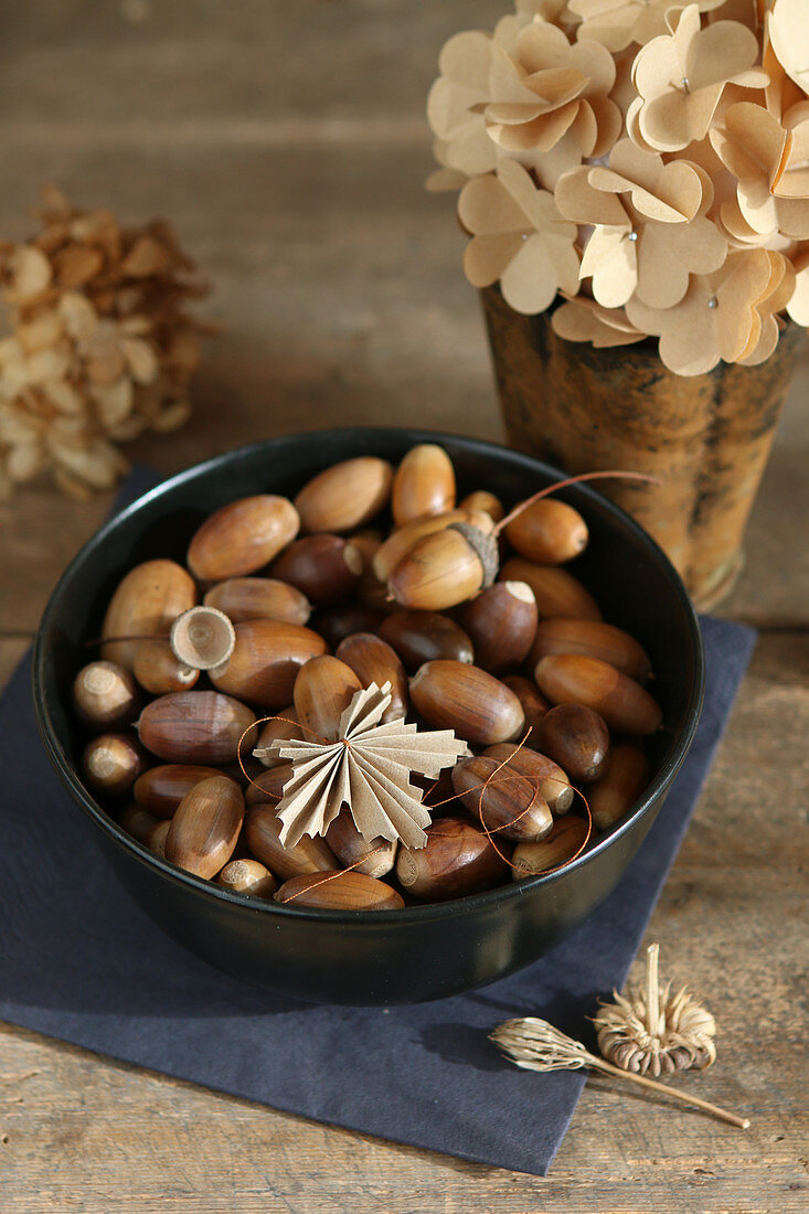 Bowl of acorns in front of paper hyydrangea