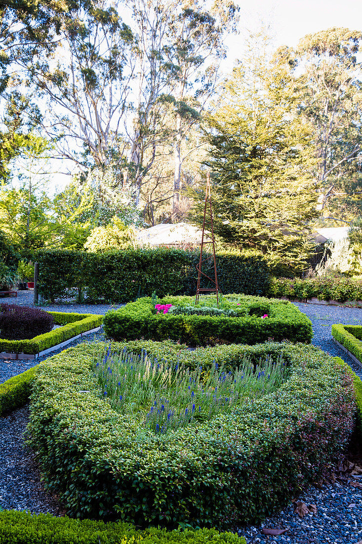 Bed border with boxwood